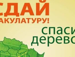 Куда можно сдать макулатуру в Георгиевске